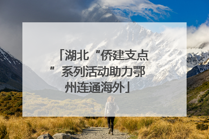 湖北“侨建支点”系列活动助力鄂州连通海外