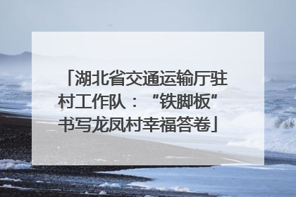 湖北省交通运输厅驻村工作队：“铁脚板”书写龙凤村幸福答卷