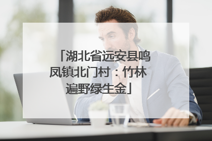 湖北省远安县鸣凤镇北门村：竹林遍野绿生金