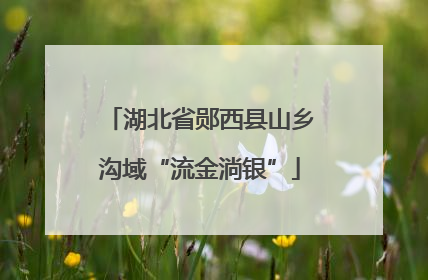 湖北省郧西县山乡沟域“流金淌银”