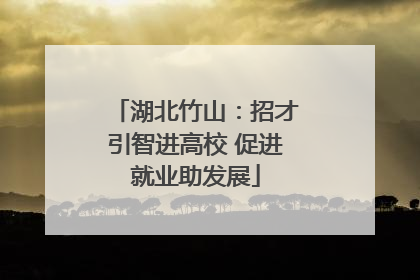 湖北竹山：招才引智进高校 促进就业助发展