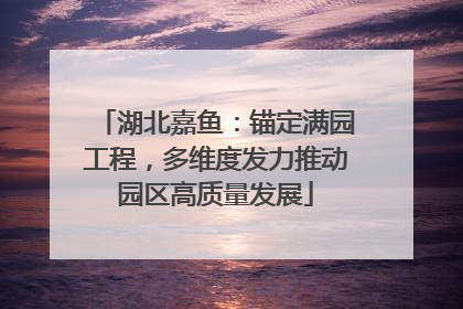 湖北嘉鱼：锚定满园工程，多维度发力推动园区高质量发展