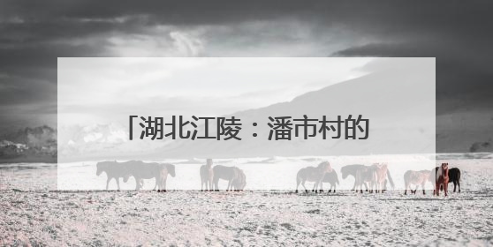 湖北江陵：潘市村的香瓜为何这么甜？