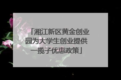 湘江新区黄金创业园为大学生创业提供一揽子优惠政策