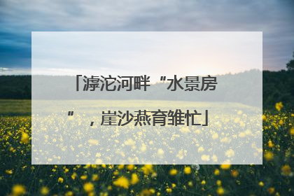滹沱河畔“水景房”，崖沙燕育雏忙