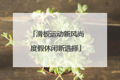 滑板运动新风尚 度假休闲新选择