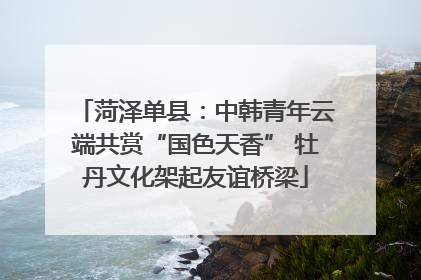 菏泽单县：中韩青年云端共赏“国色天香” 牡丹文化架起友谊桥梁