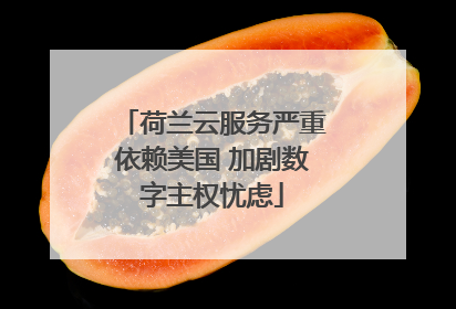 荷兰云服务严重依赖美国 加剧数字主权忧虑