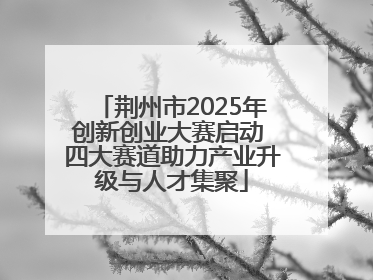 荆州市2025年创新创业大赛启动 四大赛道助力产业升级与人才集聚