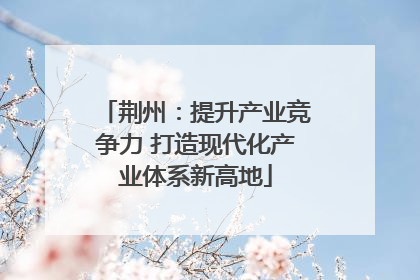 荆州：提升产业竞争力 打造现代化产业体系新高地