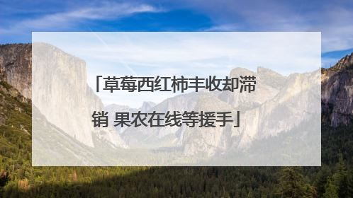 草莓西红柿丰收却滞销 果农在线等援手