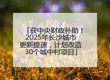 获中央财政补助！2025年长沙城市更新提速，计划改造30个城中村项目