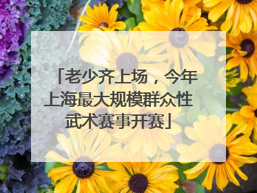 老少齐上场，今年上海最大规模群众性武术赛事开赛