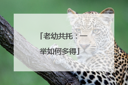 老幼共托：一举如何多得
