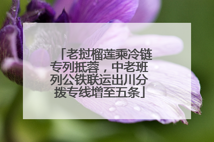 老挝榴莲乘冷链专列抵蓉，中老班列公铁联运出川分拨专线增至五条