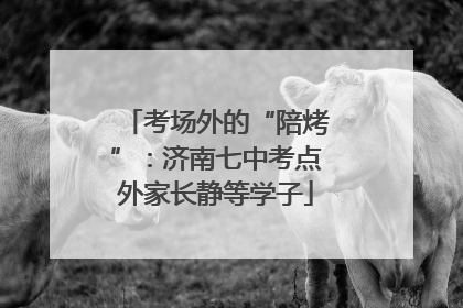 考场外的“陪烤”：济南七中考点外家长静等学子