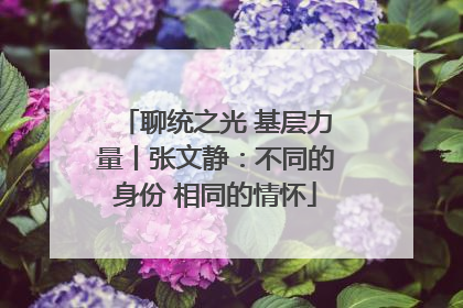 聊统之光 基层力量丨张文静：不同的身份 相同的情怀
