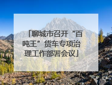 聊城市召开“百吨王”货车专项治理工作部署会议