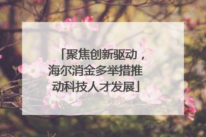 聚焦创新驱动，海尔消金多举措推动科技人才发展