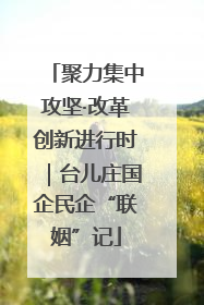 聚力集中攻坚·改革创新进行时｜台儿庄国企民企“联姻”记