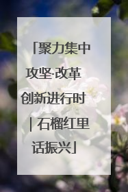 聚力集中攻坚·改革创新进行时｜石榴红里话振兴