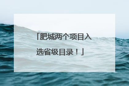 肥城两个项目入选省级目录！