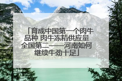 育成中国第一个肉牛品种 肉牛冻精供应量全国第二——河南如何继续牛劲十足