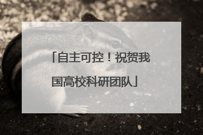自主可控！祝贺我国高校科研团队