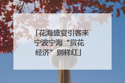 花海盛宴引客来 宁波宁海“赏花经济”别样红