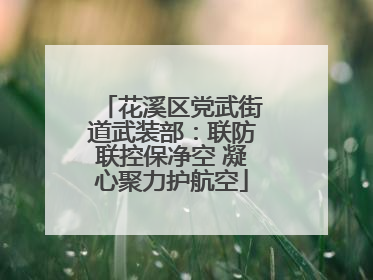 花溪区党武街道武装部：联防联控保净空 凝心聚力护航空