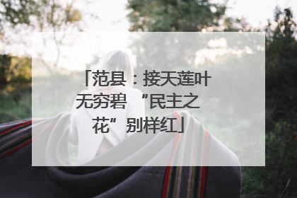 范县：接天莲叶无穷碧 “民主之花”别样红