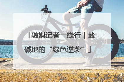融媒记者一线行｜盐碱地的“绿色逆袭”