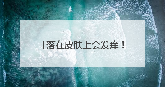 落在皮肤上会发痒！普吉一个家具厂附近发现不明絮状纤维物