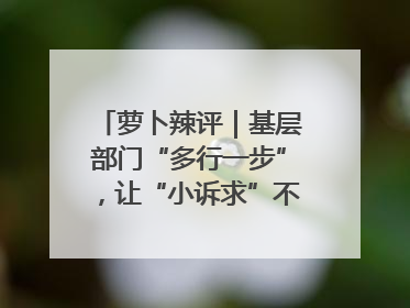 萝卜辣评｜基层部门“多行一步”，让“小诉求”不缺席法治守护