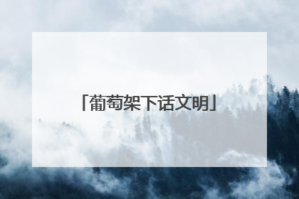 葡萄架下话文明