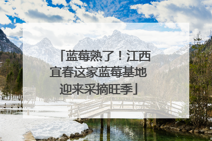 蓝莓熟了！江西宜春这家蓝莓基地迎来采摘旺季