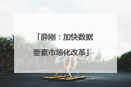 薛刚：加快数据要素市场化改革