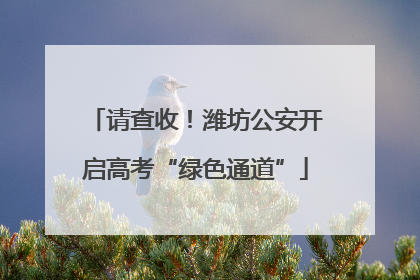 请查收！潍坊公安开启高考“绿色通道”