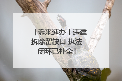 诉来速办丨违建拆除留缺口 执法闭环已补全