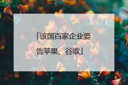 该国百家企业要告苹果、谷歌