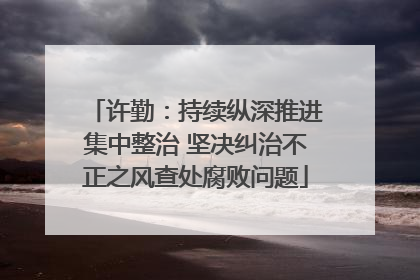 许勤：持续纵深推进集中整治 坚决纠治不正之风查处腐败问题