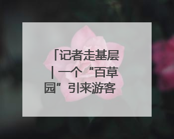 记者走基层｜一个“百草园”引来游客2万人次