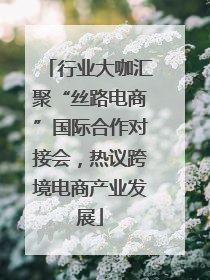 行业大咖汇聚“丝路电商”国际合作对接会，热议跨境电商产业发展