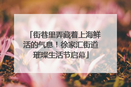 街巷里弄藏着上海鲜活的气息！徐家汇街道璀璨生活节启幕