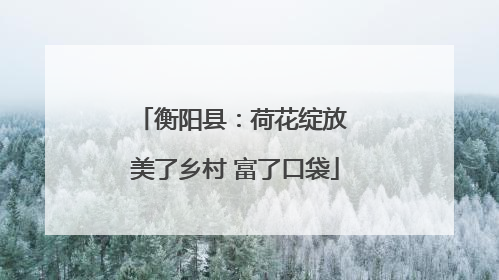 衡阳县：荷花绽放 美了乡村 富了口袋