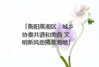 衡阳蒸湘区：城乡协奏共谱和美曲 文明新风劲拂蒸湘地