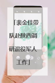 裴金佳带队赴陕西调研退役军人工作
