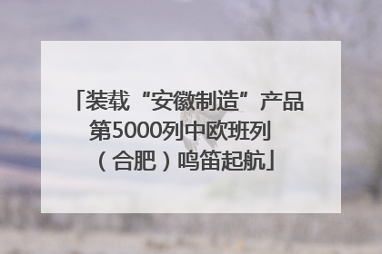 装载“安徽制造”产品 第5000列中欧班列（合肥）鸣笛起航