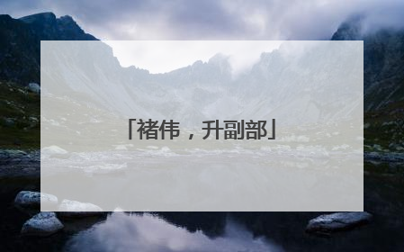 褚伟，升副部