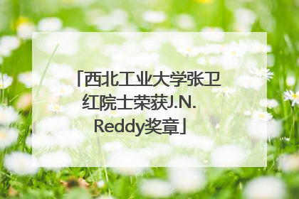 西北工业大学张卫红院士荣获J.N.Reddy奖章